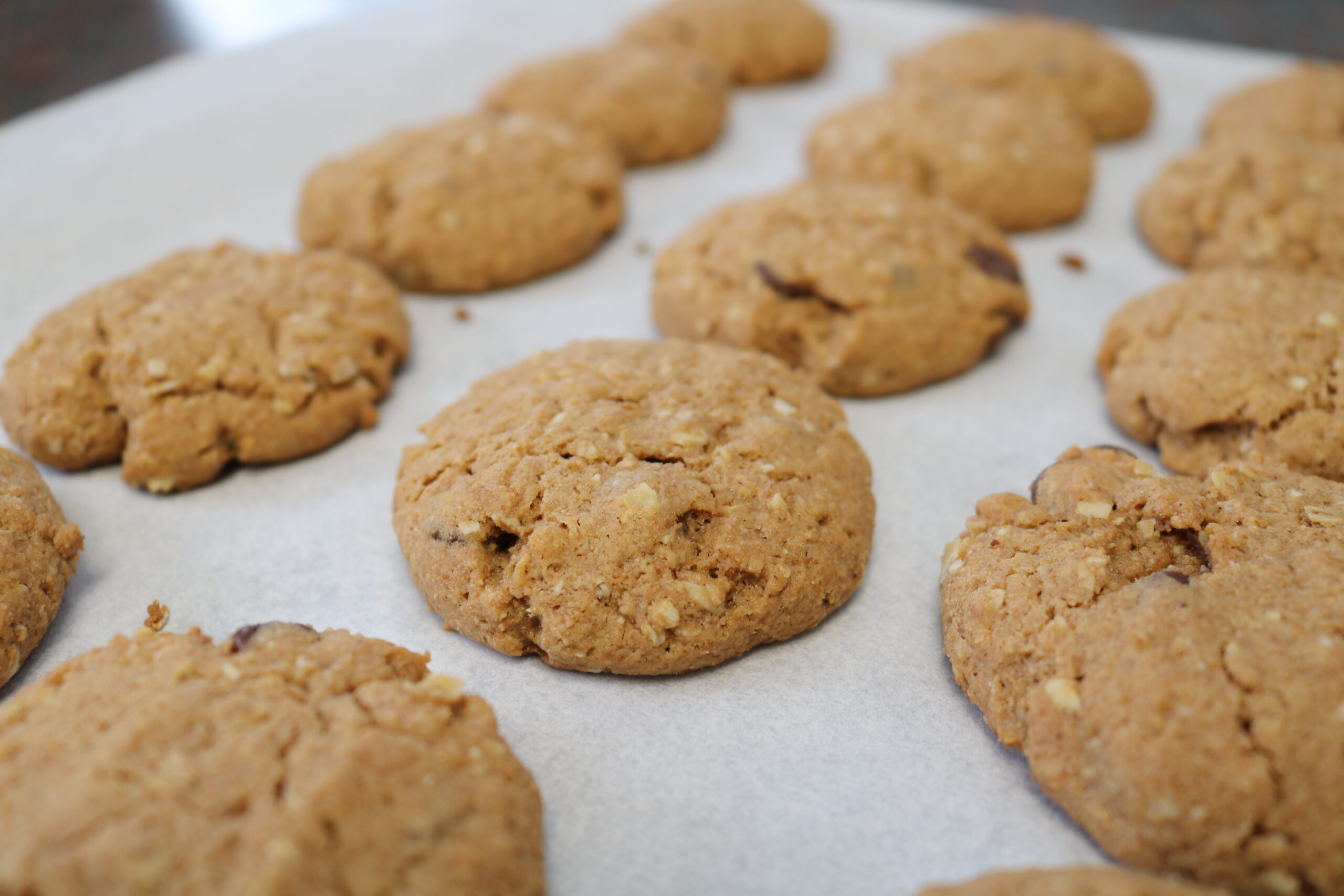 Wild Wholesome Cookies